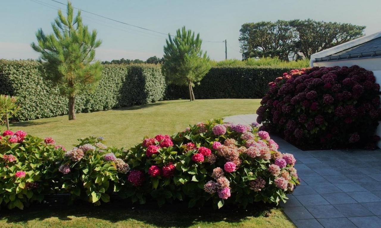 Maison Accueillante A Bangor Avec Jardin Clos Et Cheminee Εξωτερικό φωτογραφία